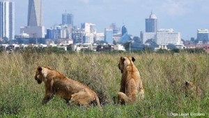 National Park in Nairobi